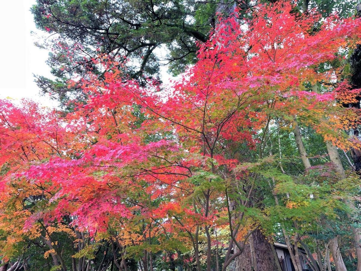 Hotel Amanek Kanazawa Luaran gambar